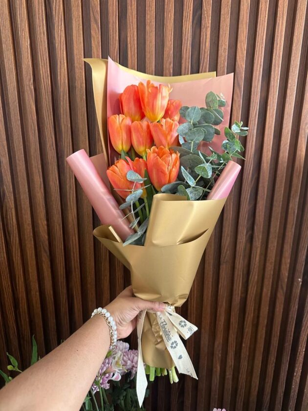 Tulipa 9 Tulipanes